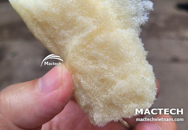 Foam PU là gì