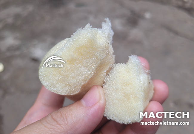 Foam PU là gì
