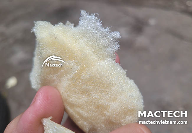 Foam PU là gì