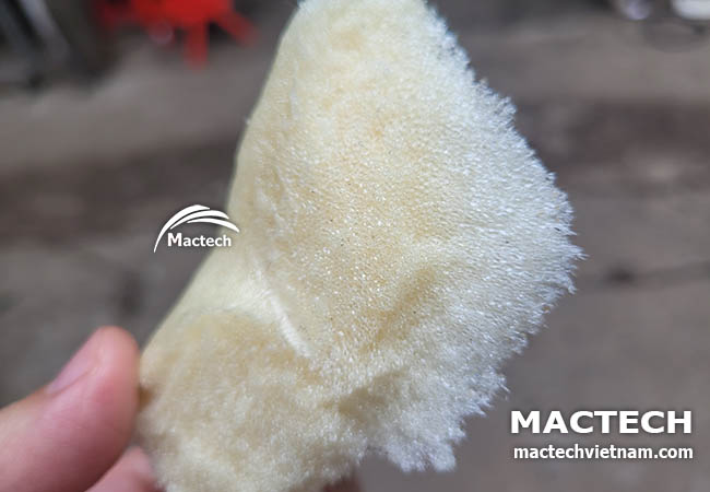 Foam PU là gì