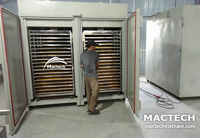 Máy sấy nhiệt đối lưu 1 tấn Mactech MSD10000 V25