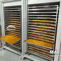 MSD10000