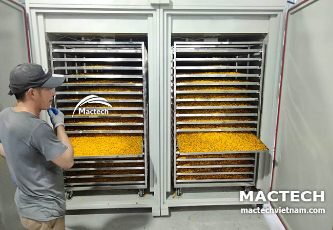 Máy sấy nhiệt đối lưu 1 tấn Mactech MSD10000 V25