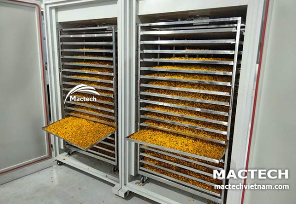 MSD10000