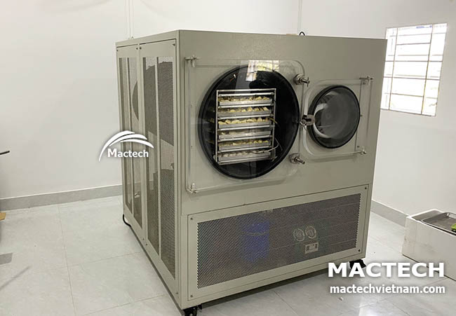 Máy sấy thăng hoa 10kg Mactech MST100