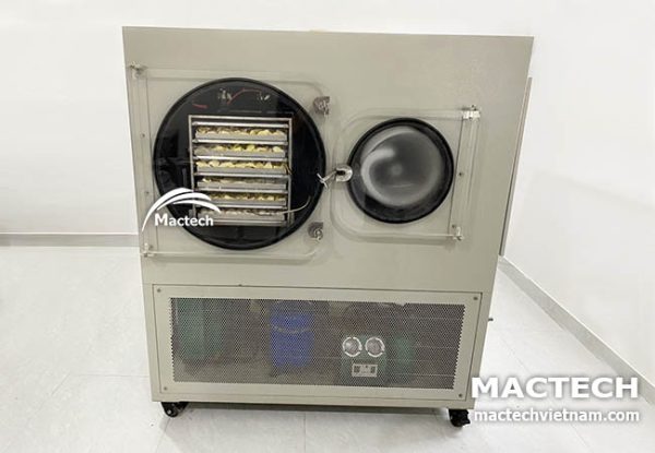 Máy sấy thăng hoa 10kg Mactech MST100