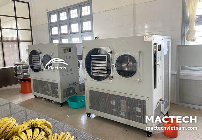 Máy sấy thăng hoa 20kg MST200