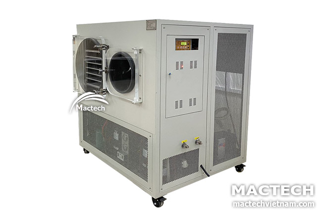 Máy sấy thăng hoa đông trùng hạ thảo Mactech