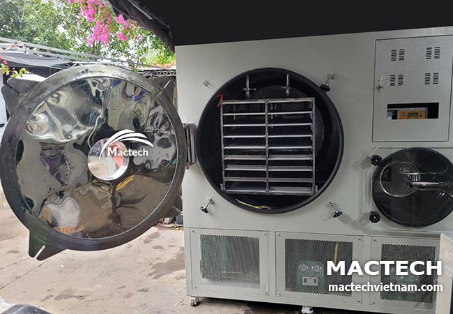 Máy sấy thăng hoa 50kg Mactech MST500