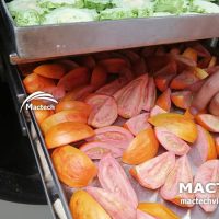 Cà chua sấy thăng hoa