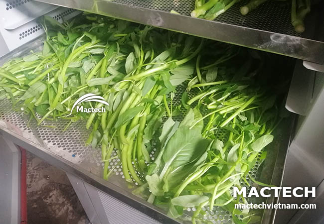Máy sấy nhiệt có tốn điện không