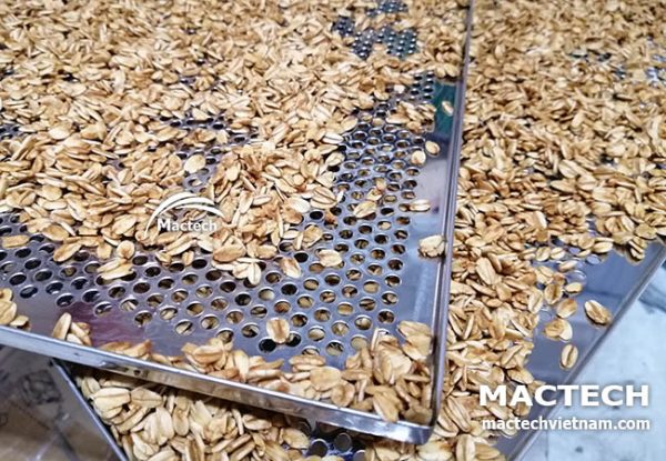 Sấy chín giòn hạt yến mạch