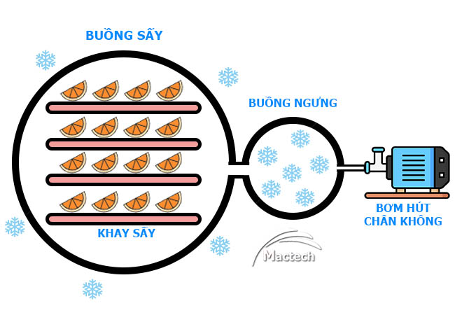 Cấu tạo máy sấy thăng hoa
