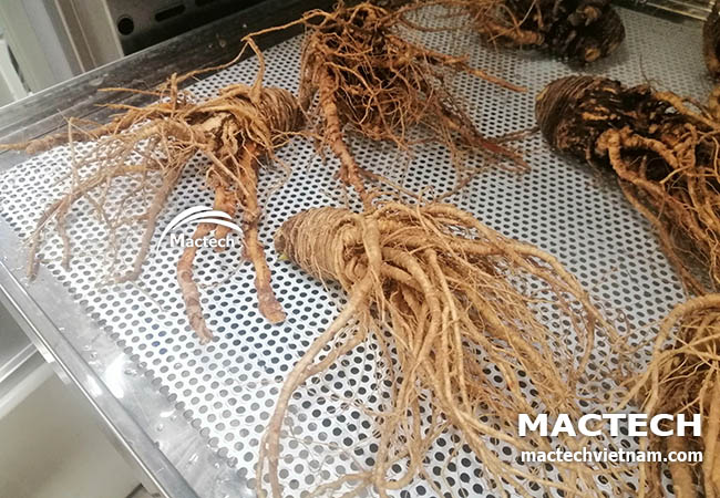 cấu tạo máy sấy dược liệu