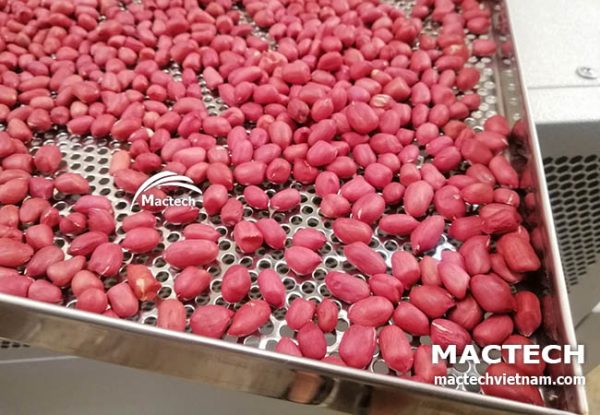 Rang sấy lạc (đậu phộng)
