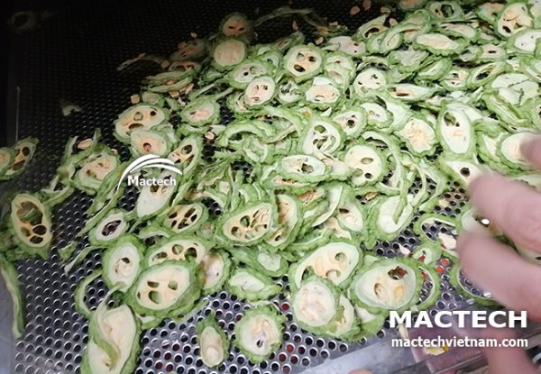 Máy sấy lạnh mướp đắng