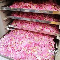 Máy sấy cánh hoa sen