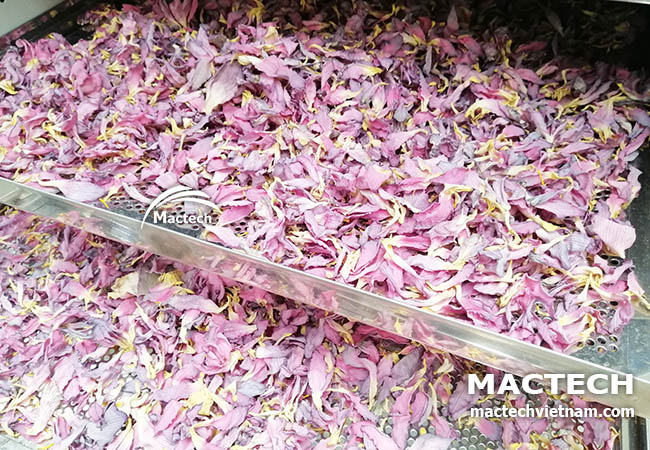 Máy sấy cánh hoa sen