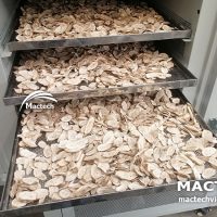 Máy sấy chuối xanh Mactech