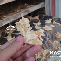 Máy sấy củ cải Mactech