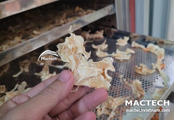 Máy sấy củ cải Mactech