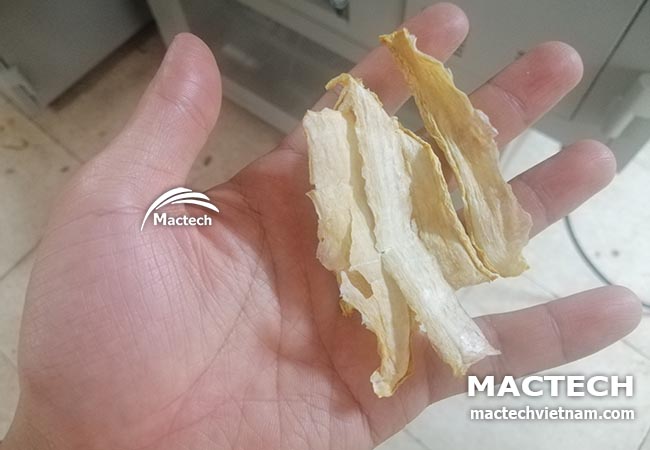 Máy sấy củ cải Mactech