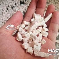 Máy sấy cùi bưởi Mactech