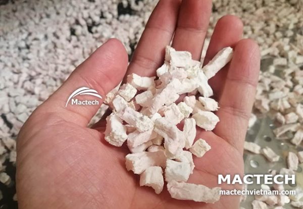 Máy sấy cùi bưởi Mactech