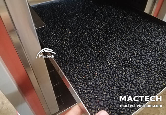 Máy rang sấy hạt đậu đen Mactech