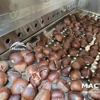 Máy sấy khô hạt dẻ đa năng