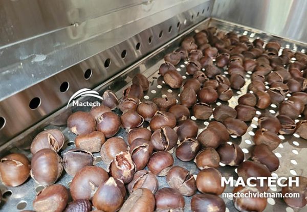 Máy sấy khô hạt dẻ đa năng