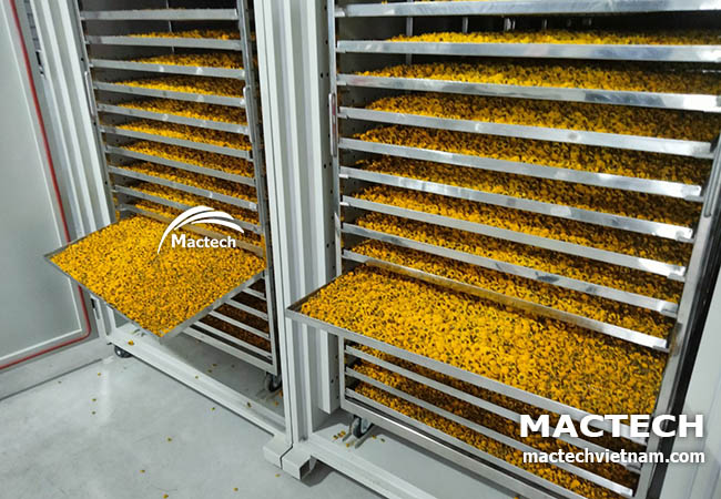 Máy sấy hoa cúc Mactech