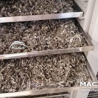 Máy sấy lá gai Mactech