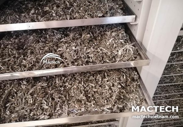 Máy sấy lá gai Mactech