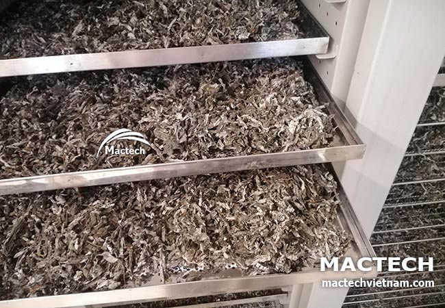 Máy sấy lá gai Mactech