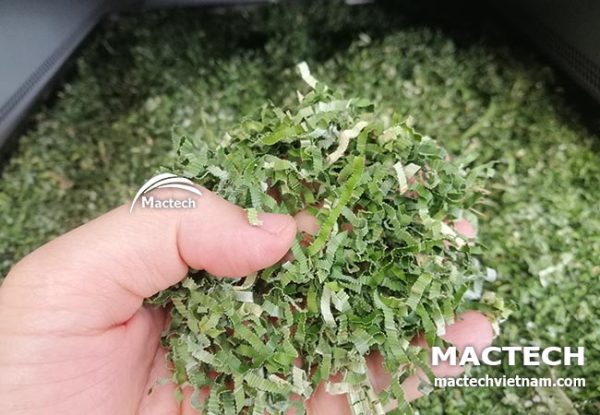 Máy sấy khô lá nếp Mactech