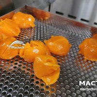 Máy sấy trứng muối Mactech
