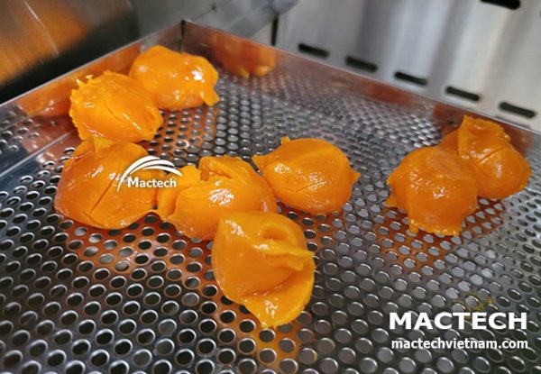 Máy sấy trứng muối Mactech