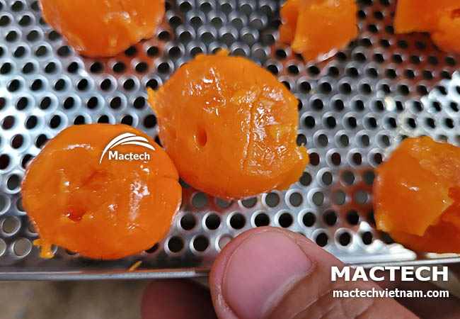 Máy sấy trứng muối Mactech