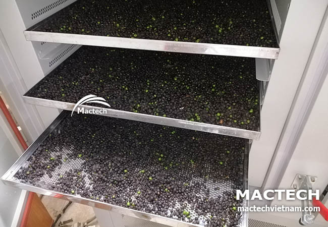 Máy sấy lạnh hạt màng tang Mactech