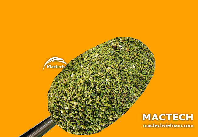 Máy sấy hoa hòe Mactech
