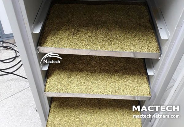 Máy sấy hoa hòe Mactech