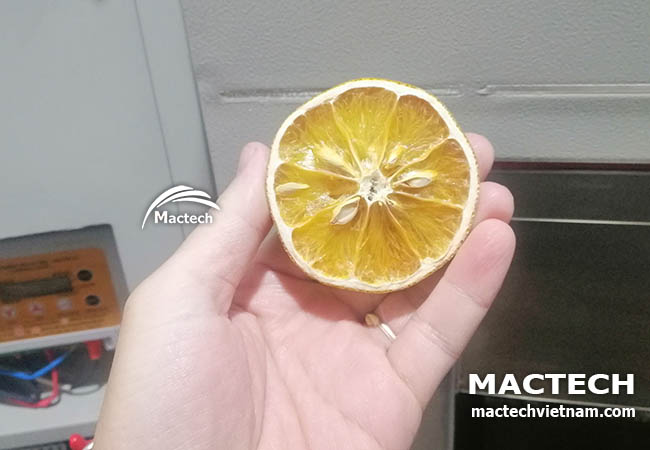 Máy sấy cam dẻo cam khô Mactech