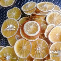 Máy sấy cam dẻo cam khô Mactech