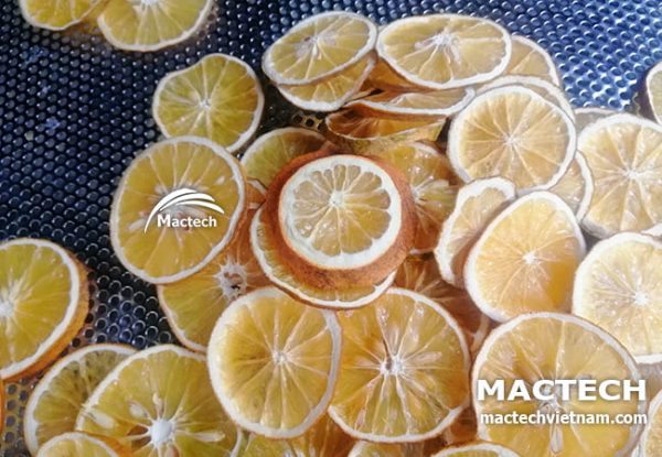 Máy sấy cam dẻo cam khô Mactech