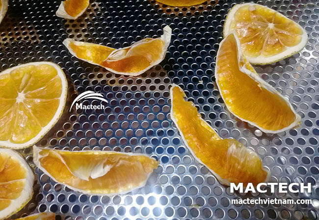 Máy sấy cam dẻo cam khô Mactech
