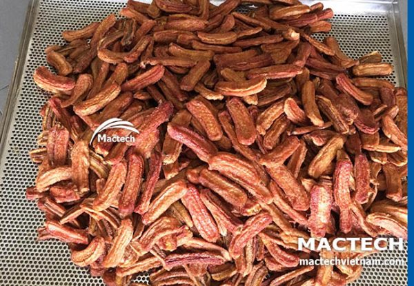 Máy sấy chuối dẻo Mactech
