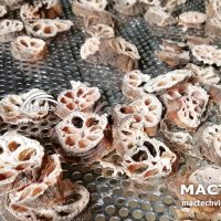 Máy sấy lạnh củ sen Mactech