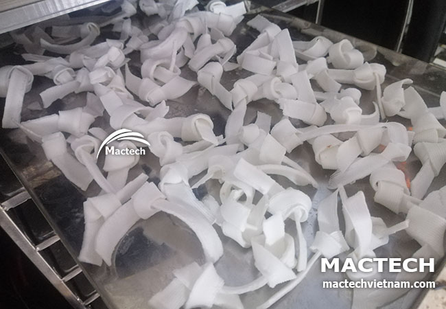 Máy sấy thăng hoa cùi dừa Mactech