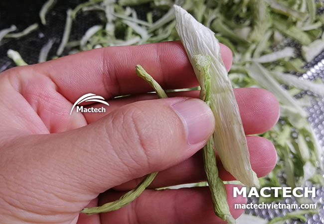 Máy sấy lạnh dọc mùng Mactech